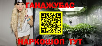Альфа ПВП Сланцы