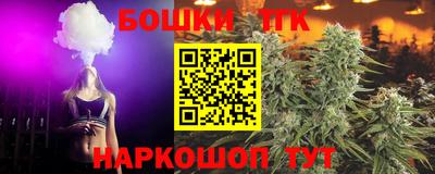 Альфа ПВП Сланцы