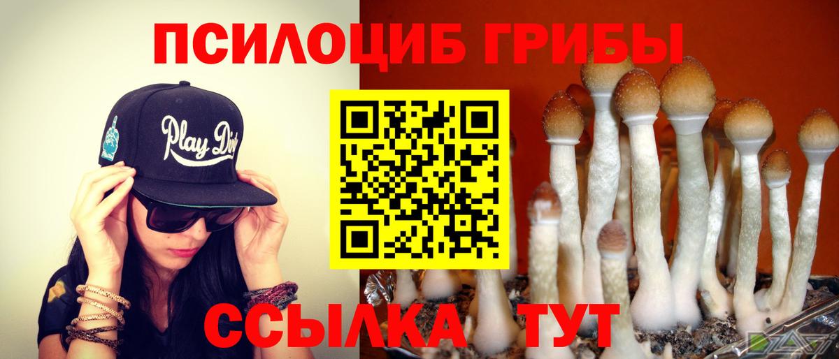 Галлюциногенные грибы Psilocybe  Вход с VPN  Псилоцибиновые грибы GOLDEN TEACHER  Новокубанск 